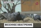 Медики предупреждают о сезонной опасности для жителей больших городов