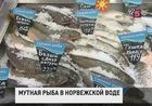 Норвежцам дали неделю на решение «рыбной проблемы»