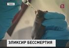 Томские учёные собираются жить вечно