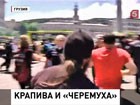 В Грузии столкнулись противники и сторонники однополой любви