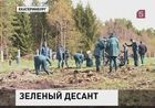 В России за эти выходные стало больше почти на 10 миллионов деревьев