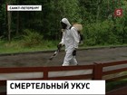 После укусов клещей в Ростовской области два человека погибли