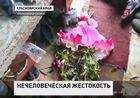 В Красноярском крае двое грабителей учинили расправу над ветеранами труда