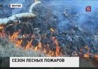 МЧС России борется с лесными пожарами