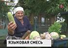 В мире скоро может появиться новый официальный язык – суржик