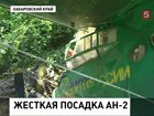 В Хабаровском крае пилотам удалось посадить Ан-2 в лесу