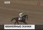 Владимир Путин вместе с мировыми лидерами посетил юбилейные скачки на приз Президента России