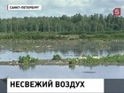 Жители севера Петербурга видят сны о вокзальных туалетах