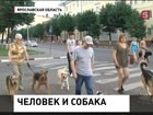 В Ярославской области и Татарстане  владельцев животных  "возьмут на поводок"
