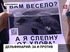 Жители Новосибирске выступили против дельфинария