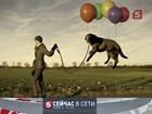 «Сейчас в сети». Выпуск 26 июля 2013 года