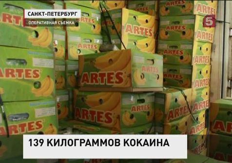 139 килограммов кокаина прибыли в Петербург в коробках с бананами