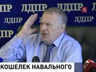 Лидер ЛДПР намерен обратиться к генпрокурору Юрию Чайке