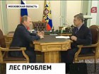 Действующий Лесной Кодекс пересмотрят. Много нарушений