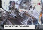 Непростая задача сегодня у космонавтов на МКС