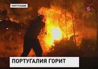 В Португалии борются с лесными пожарами