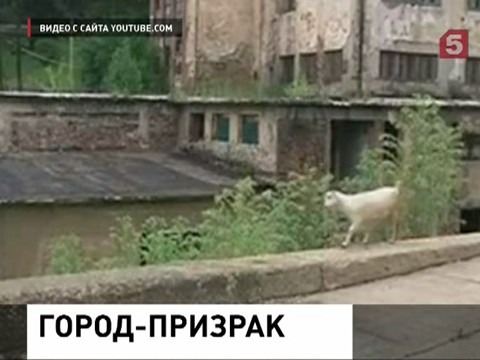 Румынский город Аниноас объявлен банкротом