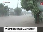 Число жертв наводнения в Мексике возросло до 97-ми человек