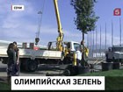 В Сочи началось озеленение Олимпийского парка