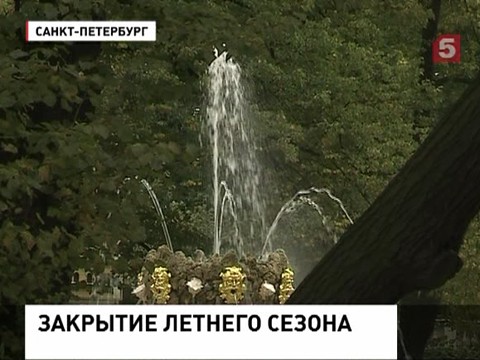 В петербургский Летний сад переселили редких птиц