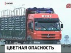 Германия и Бразилия просят защитить частную жизнь