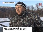 На Камчатке дежурят медвежьи патрули