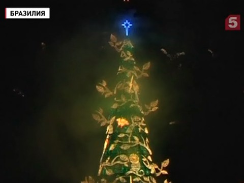 В Бразилии зажгли самую большую в мире плавучую елку
