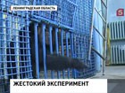 Под Петербургом разрушается уникальный питомник приматов