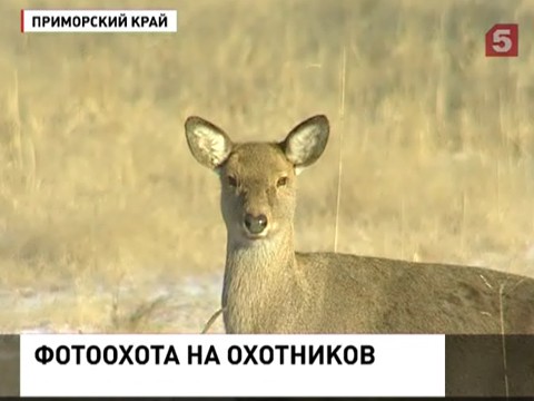 На территории оленеводческого хозяйства установили фотоловушки