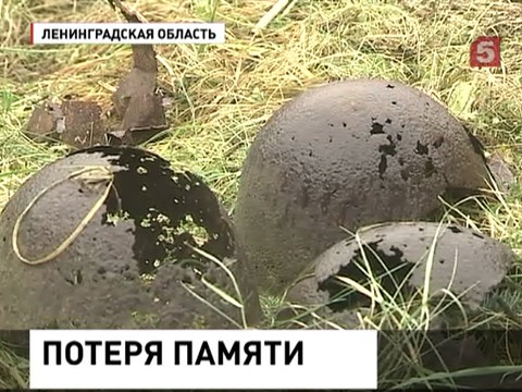 Мемориальные комплексы Ленинградской области требуют срочной реконструкции