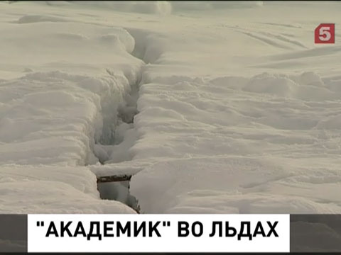 У берегов Антарктиды в ледовом плену российское судно