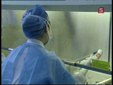 В Канаде от птичьего гриппа скончалась женщина