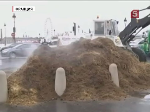 В Париже водитель грузовика провел необычную акцию протеста