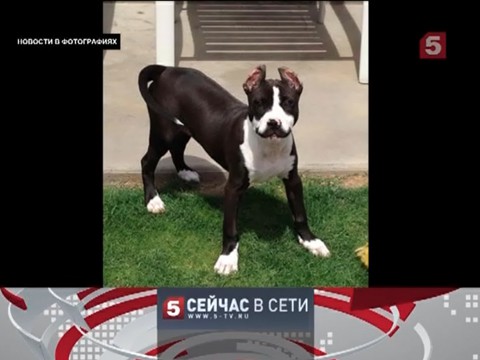 "Сейчас в сети". Выпуск 28 января 2014 года