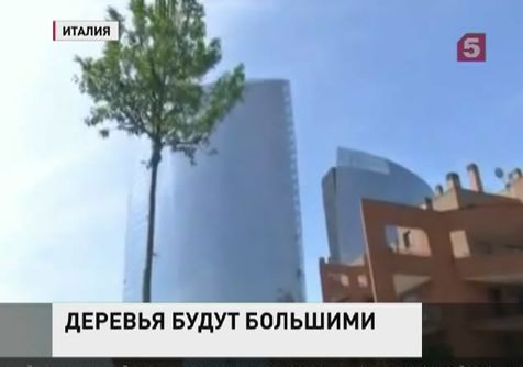 В Милане собираются высадить вертикальный лес