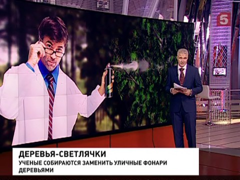 Ученые хотят заменить уличные фонари деревьями