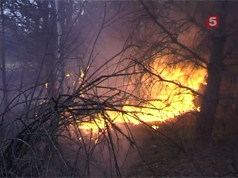 Военные спасли 200 человек в Амурской области