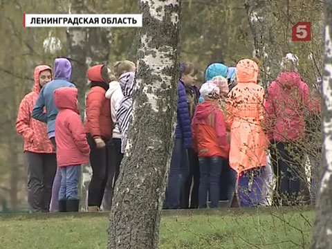 Все здравницы станут доступны для детей с ограниченными возможностями