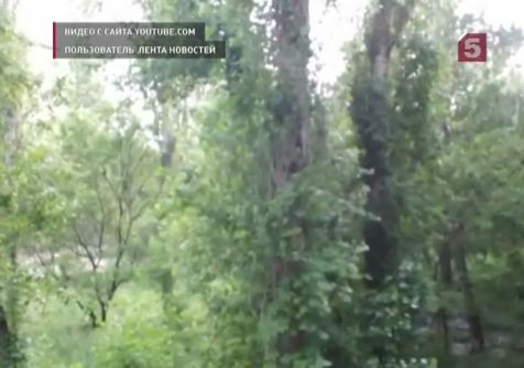 Украинская армия не отпускает со службы солдат-срочников