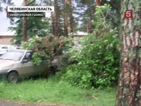 В Челябинске началась проверка по факту смерти 3 человек во время Ильменского фестиваля