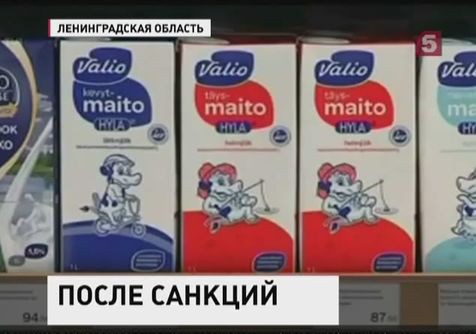 Российское эмбарго на импорт обсуждает весь мир