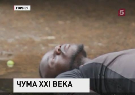 Страшный вирус проник из Африки в Европу и Америку
