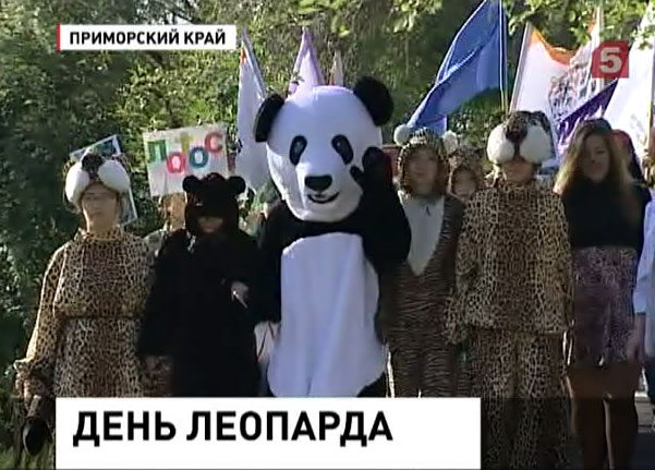 В Приморье отмечают День леопарда
