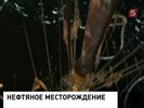 "Роснефть" открыла в Арктике новое месторождение