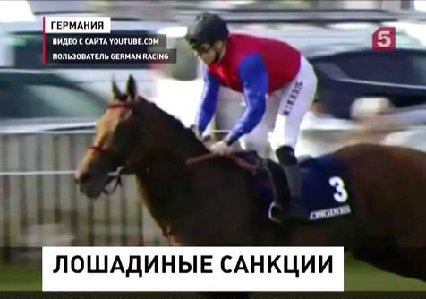 Лошадь Рамзана Кадырова попала под антироссийские санкции