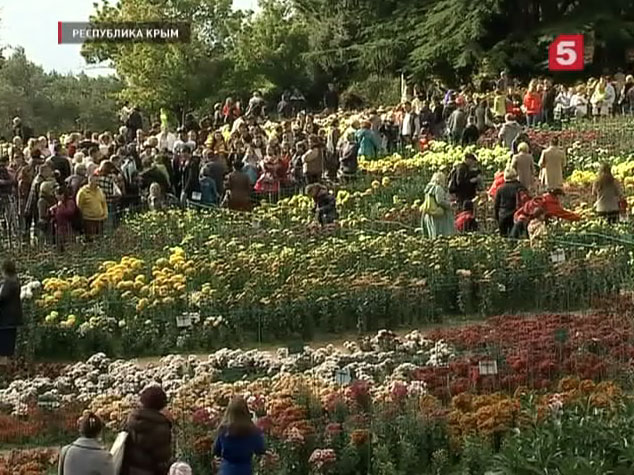 В Ялте проходит осенний бал хризантем