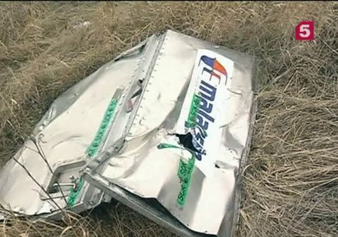 Под Донецком найдены новые останки жертв крушения малайзийского Боинга