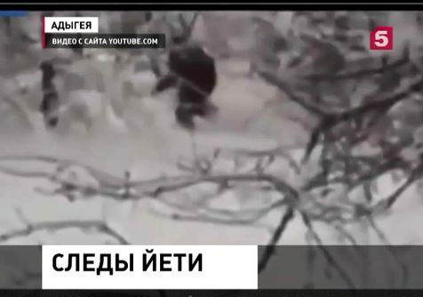 Жителям Адыгеи удалось снять на видео снежного человека