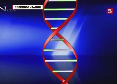 Великобритания разрешила рождение детей сразу от трех родителей