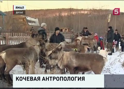 Петербургские учёные готовятся к уникальной экспедиции в ямальскую тундру